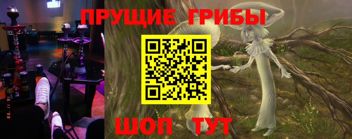 Псилоцибиновые грибы мицелий Костомукша