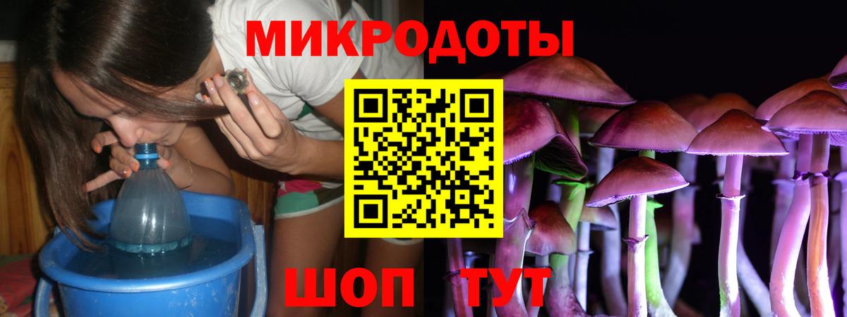 Псилоцибиновые грибы Psilocybine cubensis  наркошоп  Костомукша  Вход с VPN 
