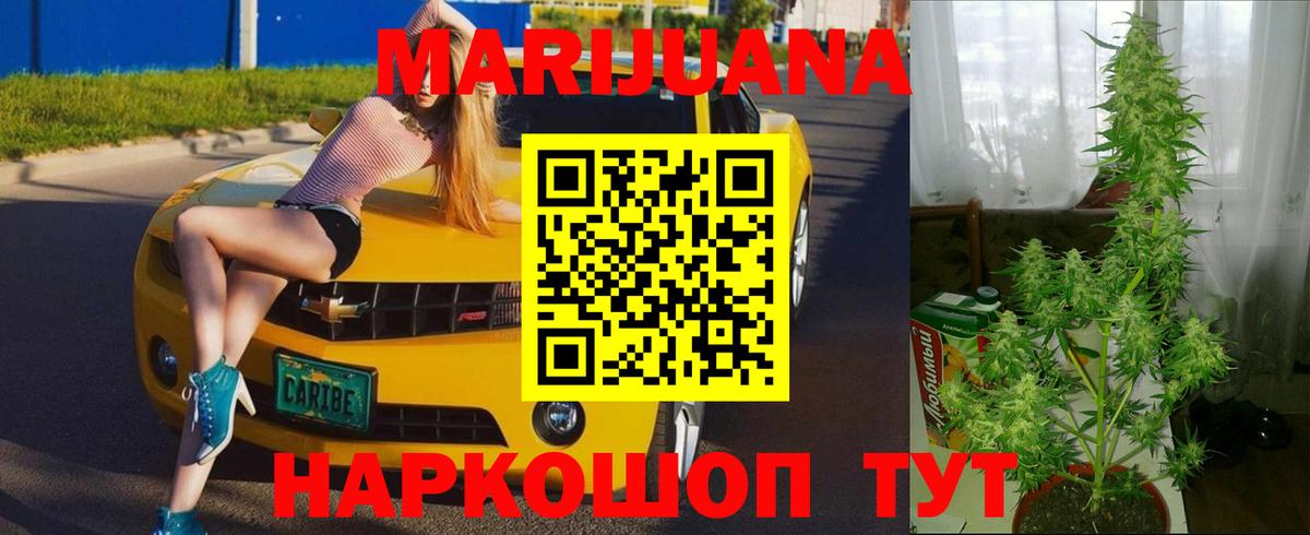 Бошки Шишки план Костомукша